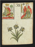 Lily Lenormand card